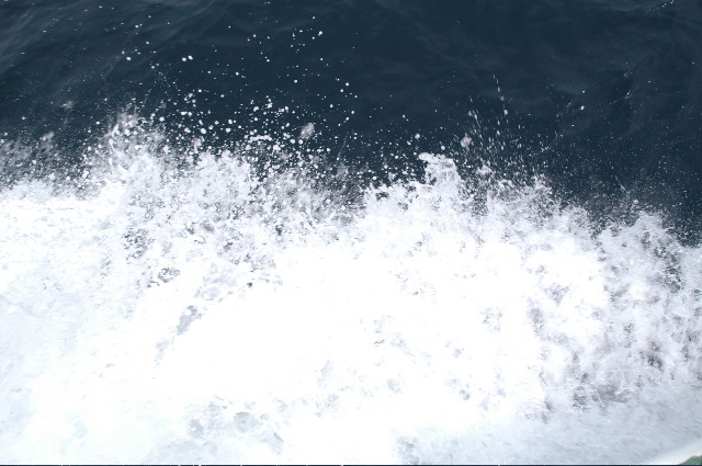DSC_1098.JPG