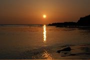 DSC_0946.JPG