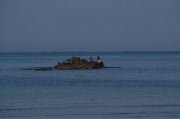 DSC_0967.JPG