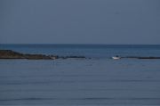 DSC_0968.JPG