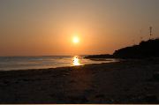 DSC_0942.JPG